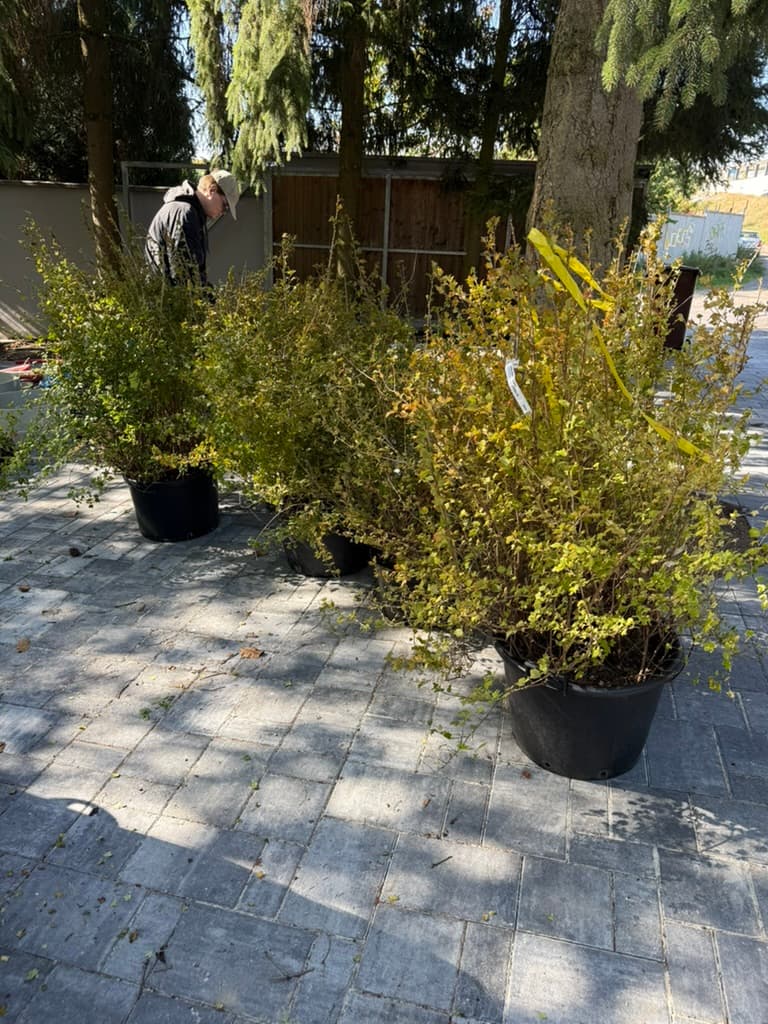 ZAHRIO Kladno — průběh realizace